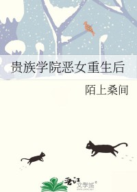 贵族学院恶女女主形象