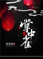 掌中雀短剧完整版免费
